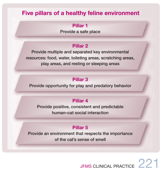 Cinco pilares de un entorno felino saludable JFMS