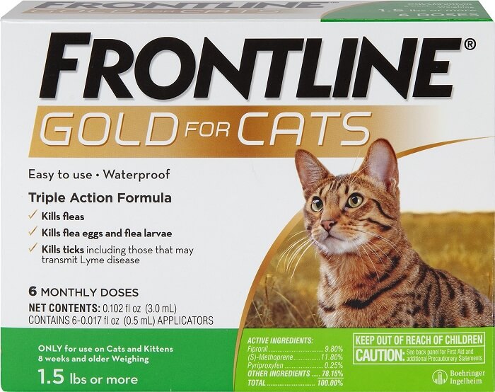oro de primera línea para gatos