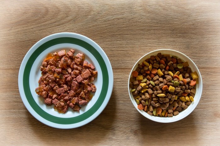 Platos de comida seca y húmeda para gatos