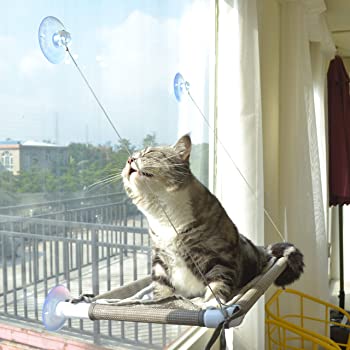 Percha para ventana de gato Pefuny, asiento para ventana con hamaca para gato