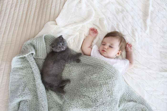 Bebe durmiendo con gatito