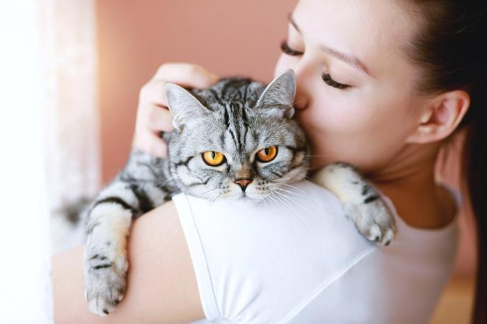 Los gatos pueden comer pelo humano como muestra de afecto.