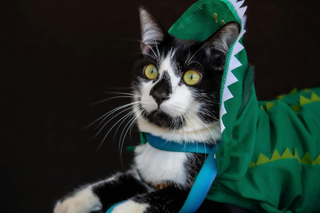 A black and white cat wearing a green dinosaur costume with bright yellow eyes.